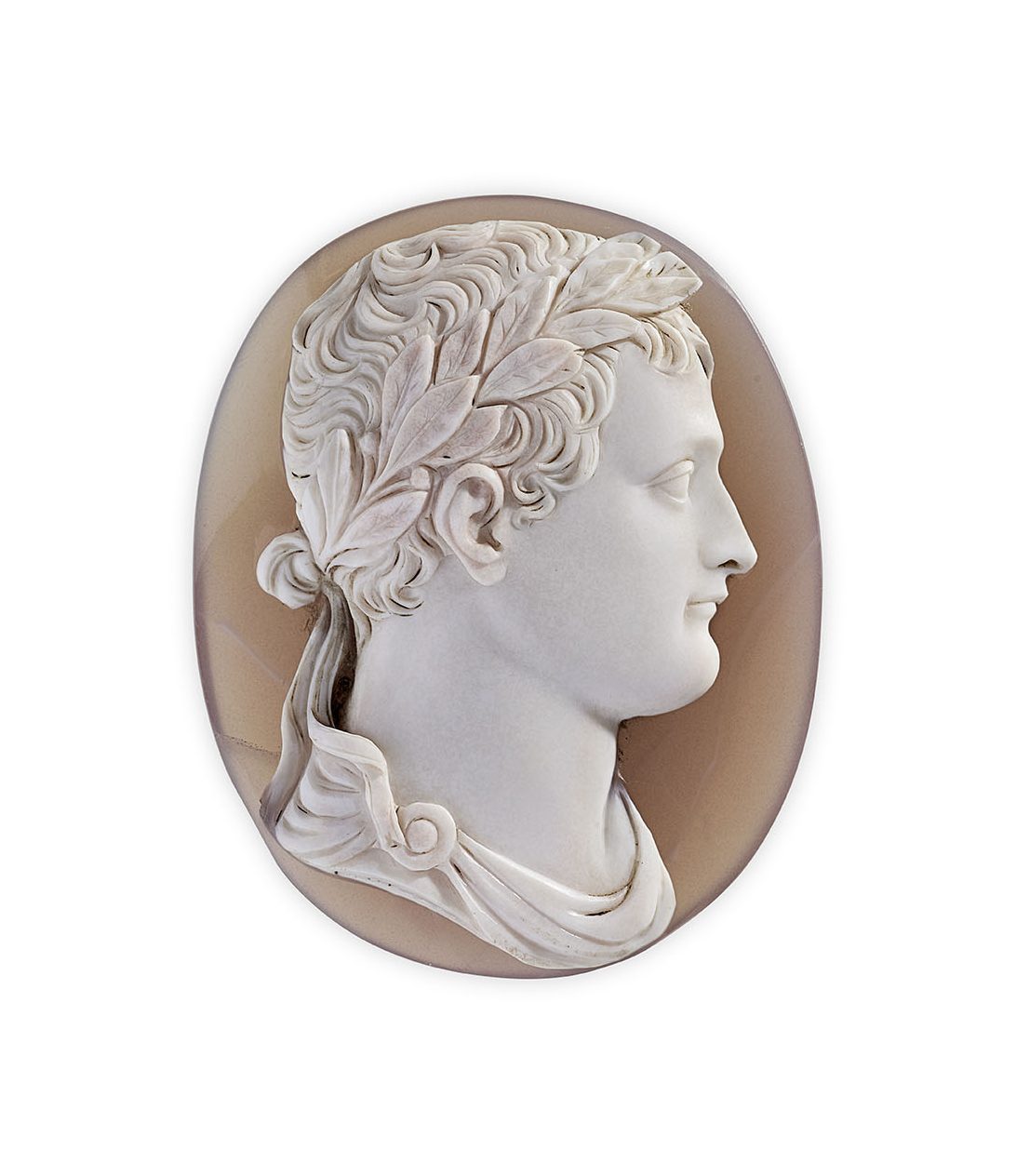 Napoleon by Niccolò Morelli