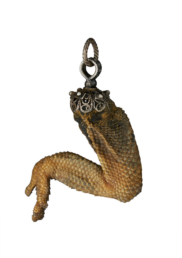 Silver lizard’s leg talisman