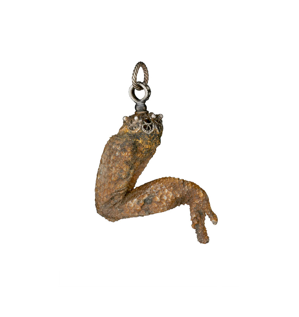 Silver lizard’s leg talisman